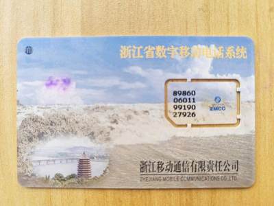 《麦麦卡卡世界》第01期拍卖2025年8月10日晚22:20时延时截拍 - 浙江移动手机SIM卡 99年芯片组卡