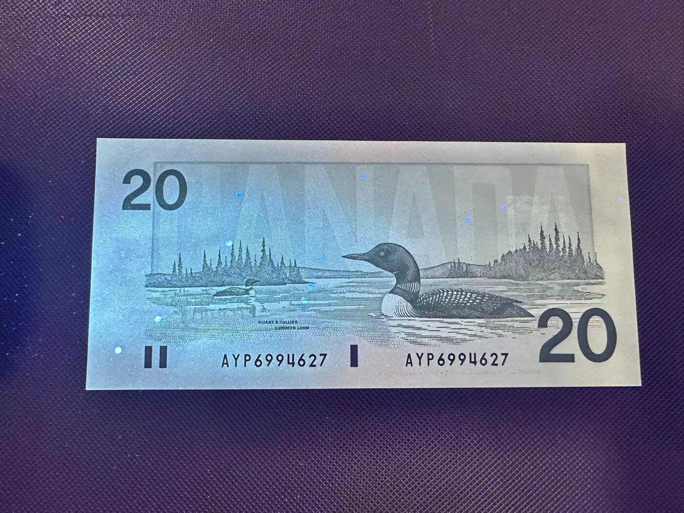 喜羊羊钱币收藏2025第8期(普品场) 加拿大1991年20加元 unc