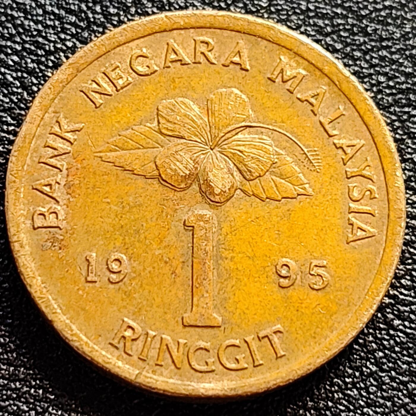 泉币菌-第73场-各国散币场 厚重币 马来西亚1995年1吉林特 铝青铜币 24mm 马来剑