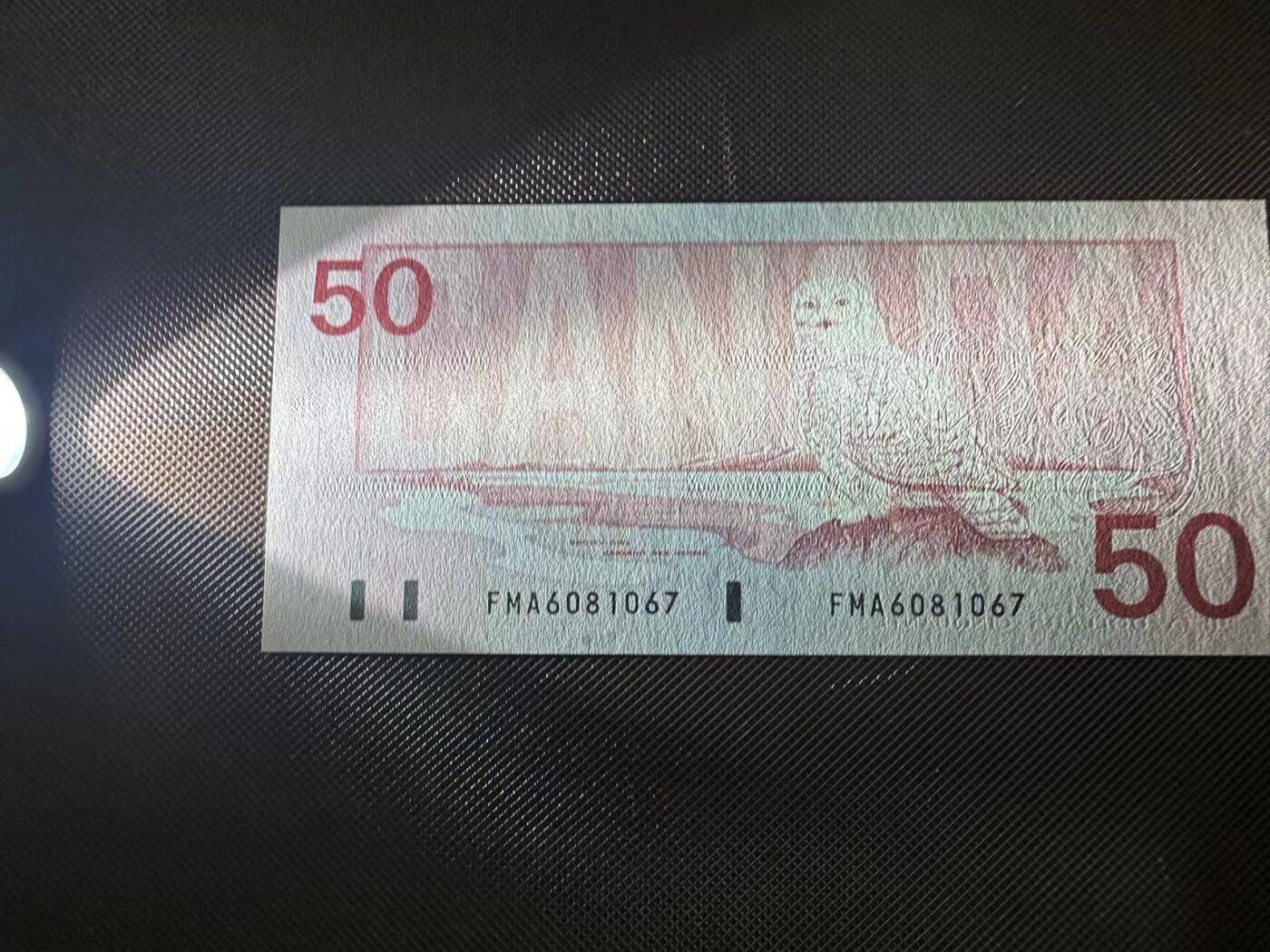 喜羊羊钱币收藏2025第8期(普品场) 加拿大1988年 50 unc