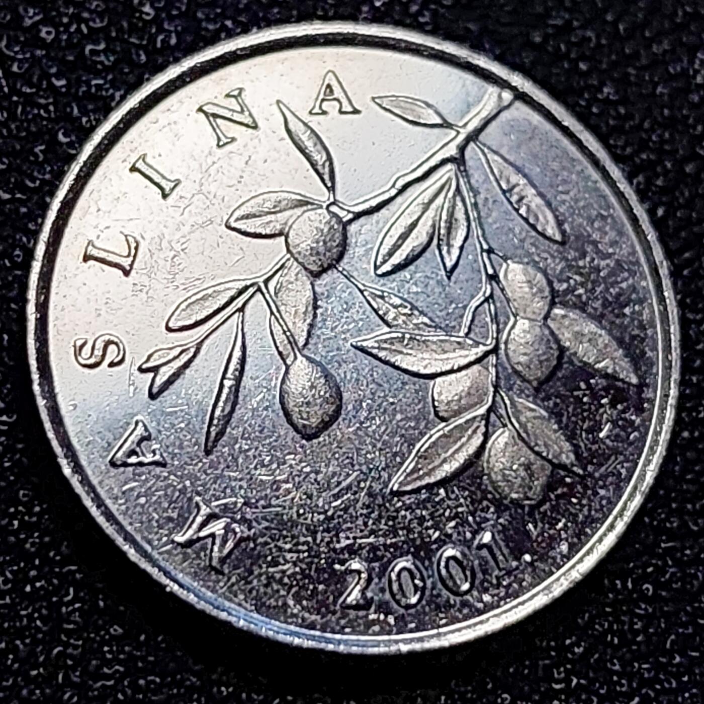 泉币菌-第73场-各国散币场 克罗地亚20利帕镀镍钢硬币 18.5毫米 2.9克 烟草
