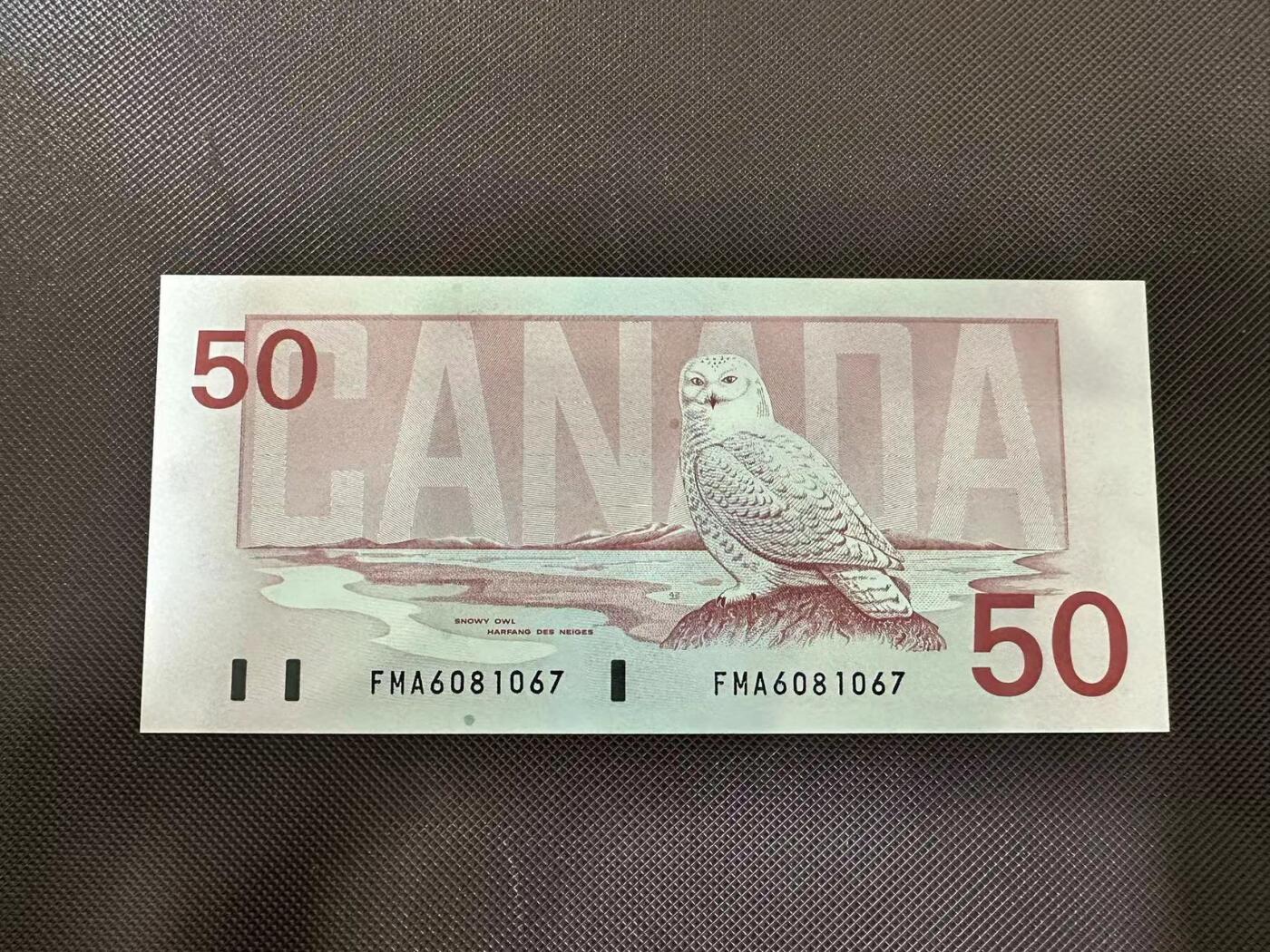 喜羊羊钱币收藏2025第8期(普品场) 加拿大1988年 50 unc