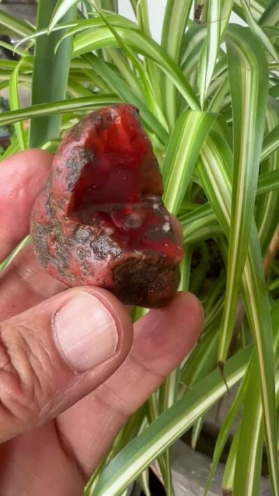 零元拍：南红玛瑙手把石，瓦西料。约55克，纯天然，独一无二的（天然原石不可避免有瑕疵，裂纹，介意勿拍）因为拍照环境以及光线的变化，颜色以实物为准。成品很美丽，原石亦魅力无穷。