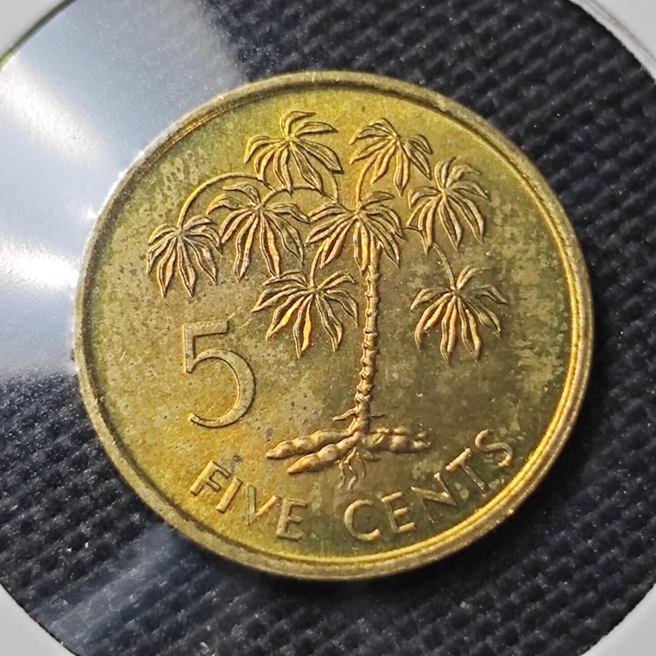 KK钱币收藏小铺 第317期 2月预留时间 周末发货
