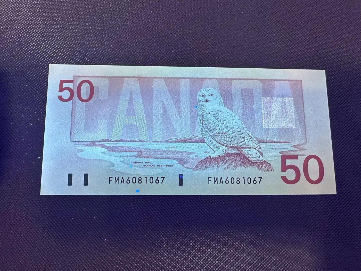 喜羊羊钱币收藏2025第8期(普品场) 加拿大1988年 50 unc