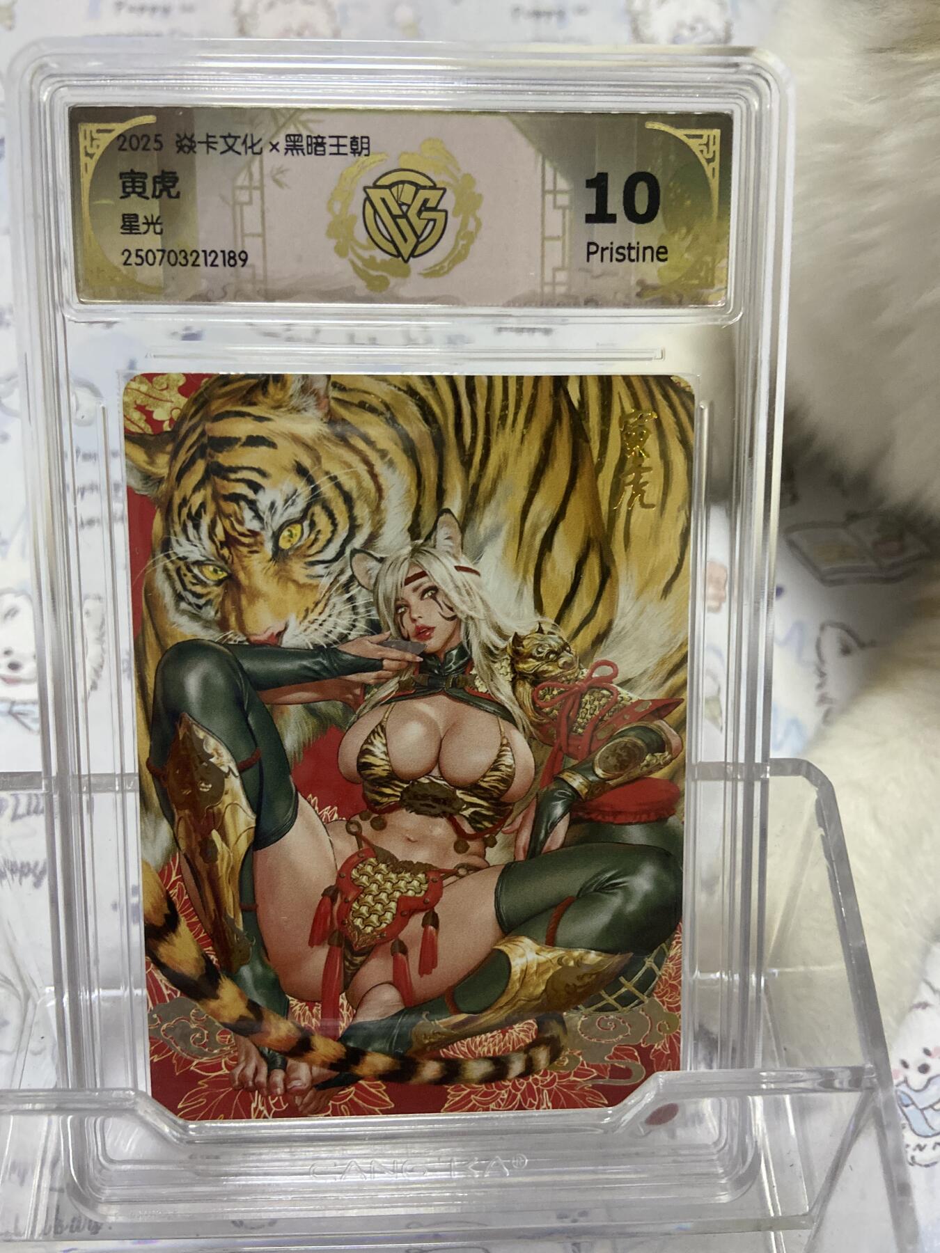 阳大大卡牌拍卖第65期（持续收拍品，周五晚上九点截拍，进群福利早知道） 【评级】焱卡文化 黑暗文化 寅虎 星光 2189
