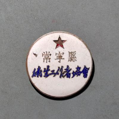 PCAI钱币8-472  中国证章小专场 - 常宁县卫生工作者协会