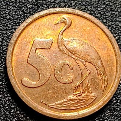 泉币菌-第73场-各国散币场 - 南非2003年5分铜钢币，蓝鹤，21mm