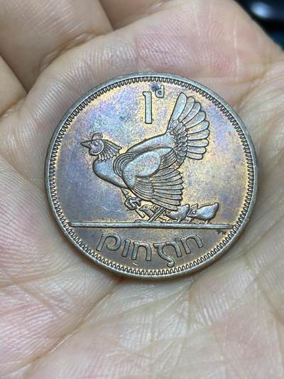 2025年第七十八场(总第一百零四场）外国好品散币(免佣金) - 爱尔兰🇮🇪1965年1便士(共和国时期第一套)