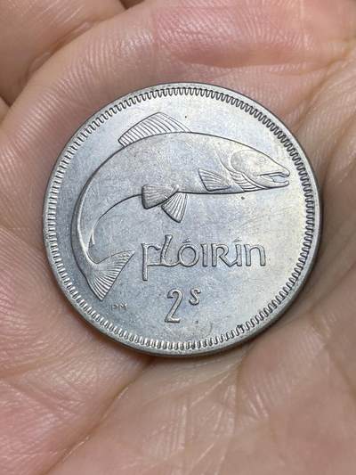 2025年第七十八场(总第一百零四场）外国好品散币(免佣金) - 爱尔兰🇮🇪1965年1弗洛林(等值2先令，共和国时期第一套第二版)