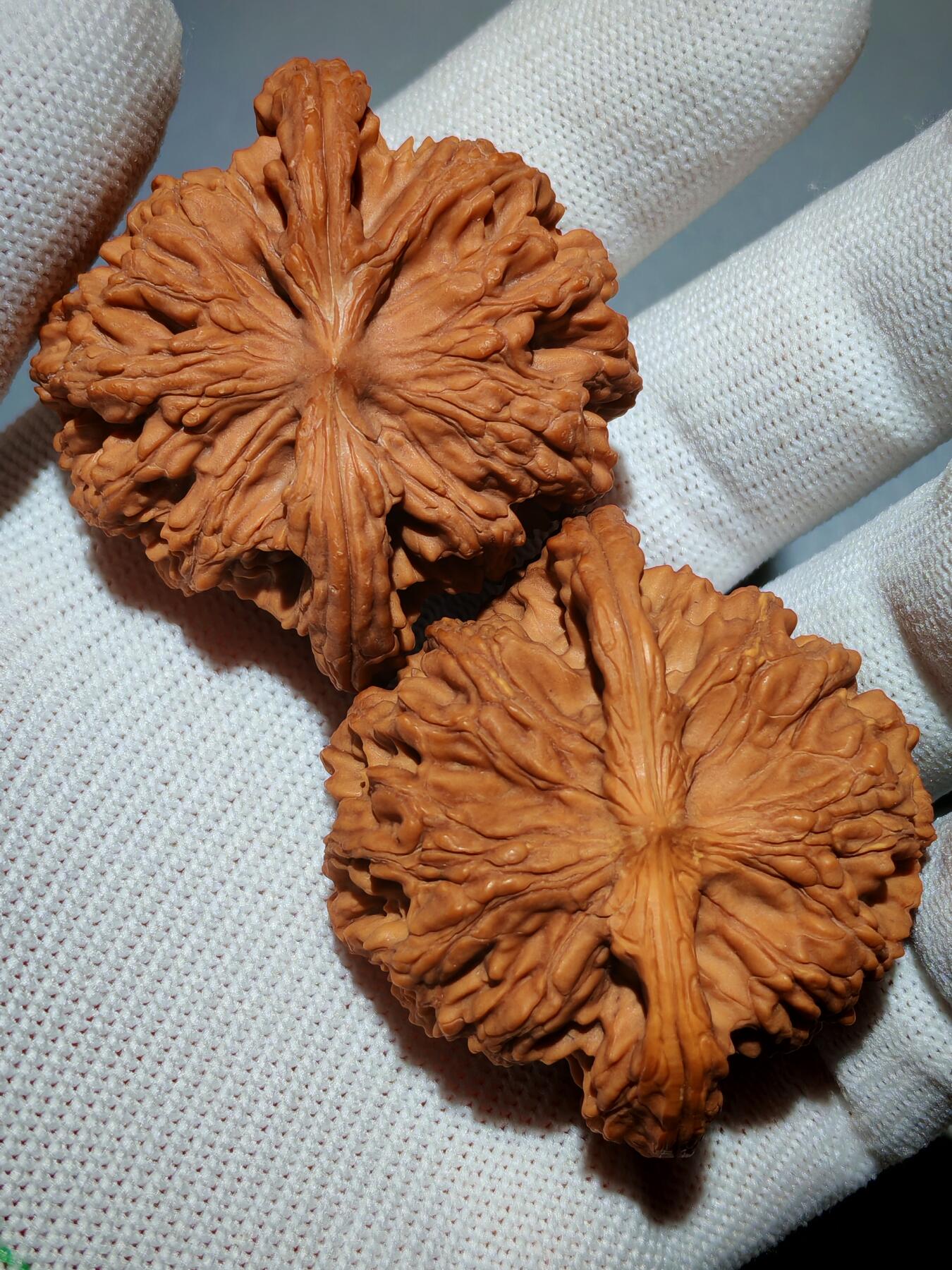 粗筋厚棱狮虎兽核桃(39030)尺寸边46*46肚44*44高31*31mm重量41g