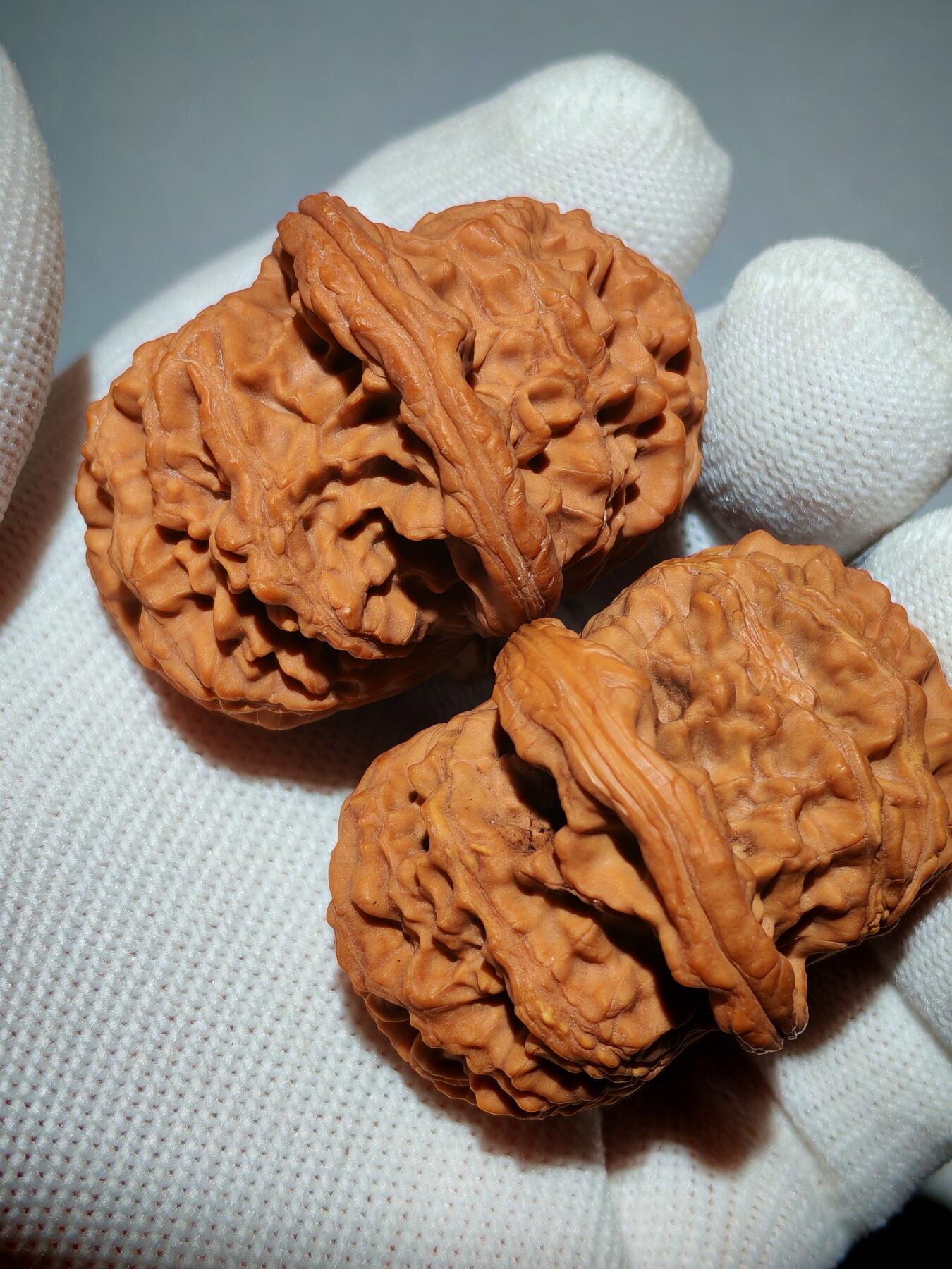 粗筋厚棱狮虎兽核桃(39030)尺寸边46*46肚44*44高31*31mm重量41g