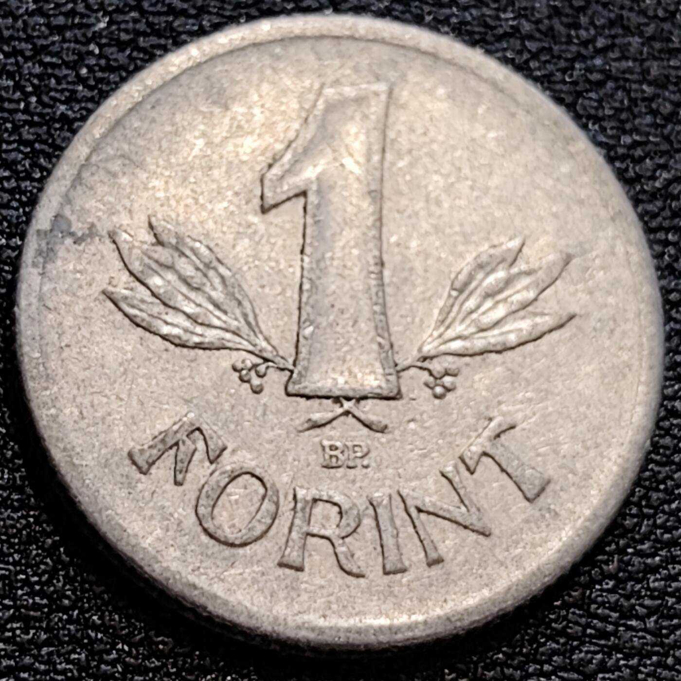 泉币菌-第78场-散币乐园场 匈牙利1969年1福林铝币 社会主义时期23.5mm 