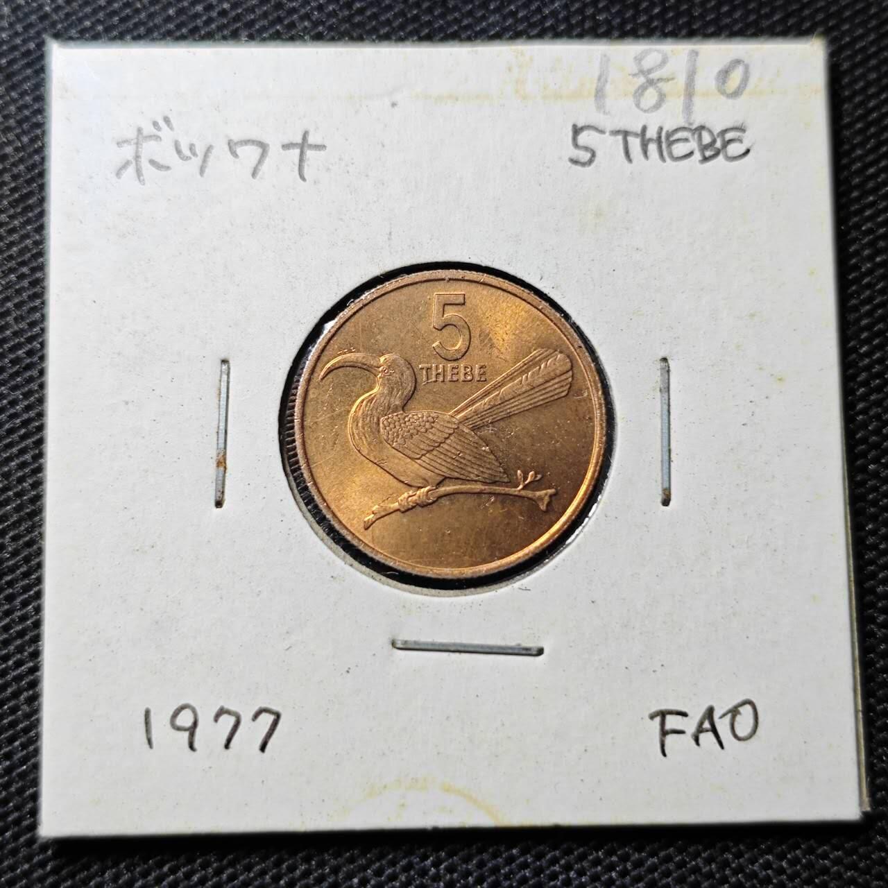 KK钱币收藏小铺 第318期 2月预留时间 周末发货  1977博茨瓦纳5西比 好品铜币
