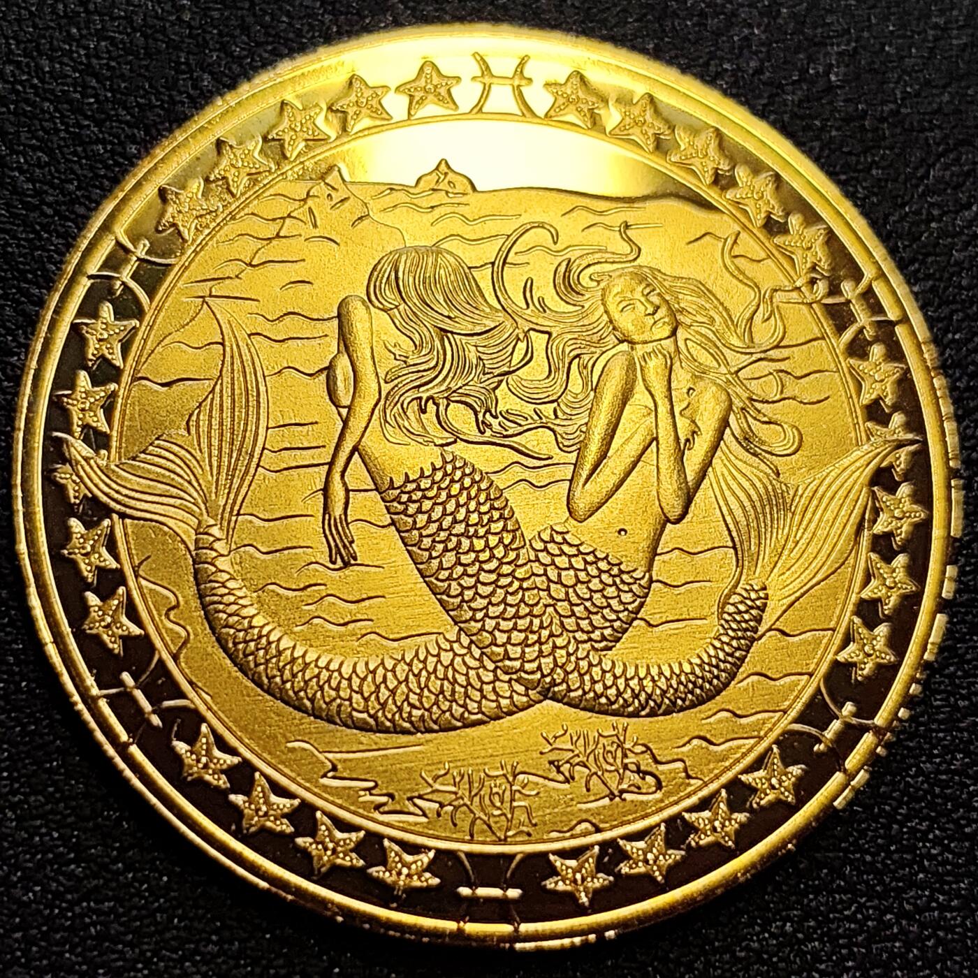 泉币菌-第75场-各国散币场 纪念章 十二星座 双鱼座 40×1.5mm 纪念品