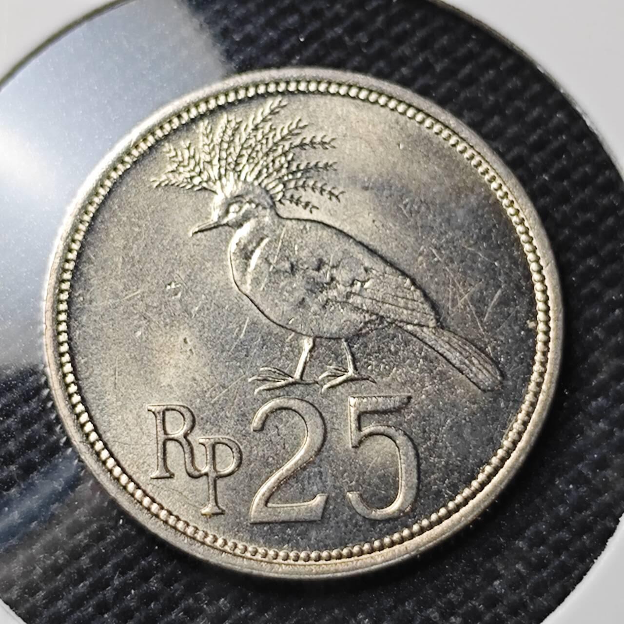 KK钱币收藏小铺 第317期 2月预留时间 周末发货