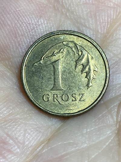 2025年第七十八场(总第一百零四场）外国好品散币(免佣金) - 波兰🇵🇱2005年1格罗希(新版第一版，黄铜材质无磁版)