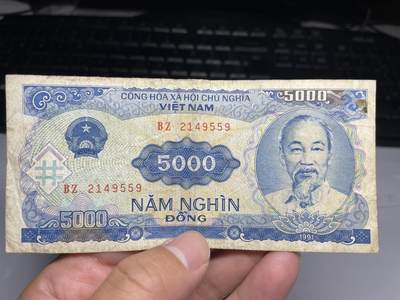 2025年集古藏今外币拍卖第七期-第10场—（总第260拍-纸币专场），本期拍完结算一次，发货时间2-3天，休息几天后继续新的一期拍卖。 - 1991年越南5000盾