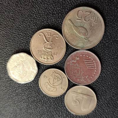 泉币菌-第77场-散币乐园场 散币 6枚