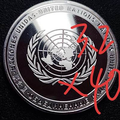泉币菌-第77场-散币乐园场 纪念章 联合国 和平鸽🕊 40×3.1mm 纪念品