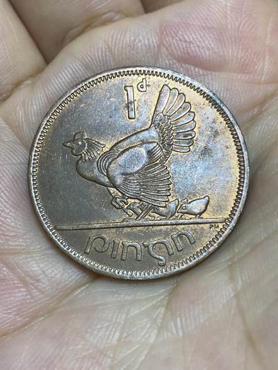2025年第七十八场(总第一百零四场）外国好品散币(免佣金) - 爱尔兰🇮🇪1966年1便士(共和国时期第一套)