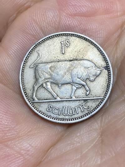 2025年第七十八场(总第一百零四场）外国好品散币(免佣金) - 爱尔兰🇮🇪1954年1先令(共和国时期第一套第二版)
