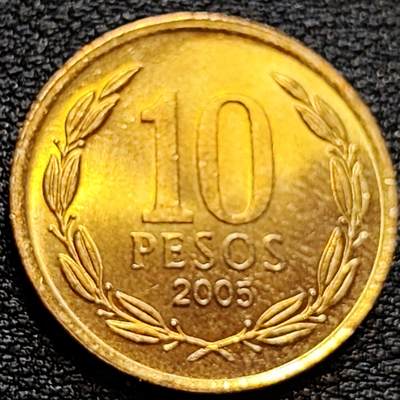 泉币菌-第78场-各国散币场 - 智利2005年10比索青铜币 独立战争领袖奥希金斯 21MM 