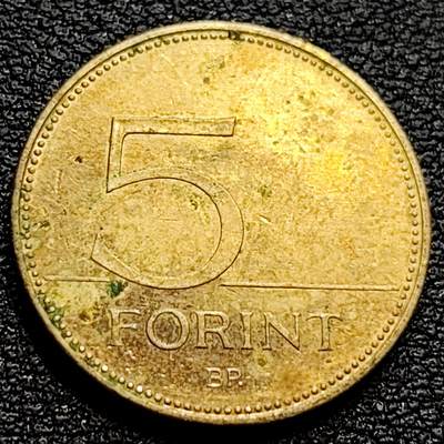泉币菌-第77场-散币乐园场  匈牙利5福林 白鹭 重4.2克 直径21.2毫米