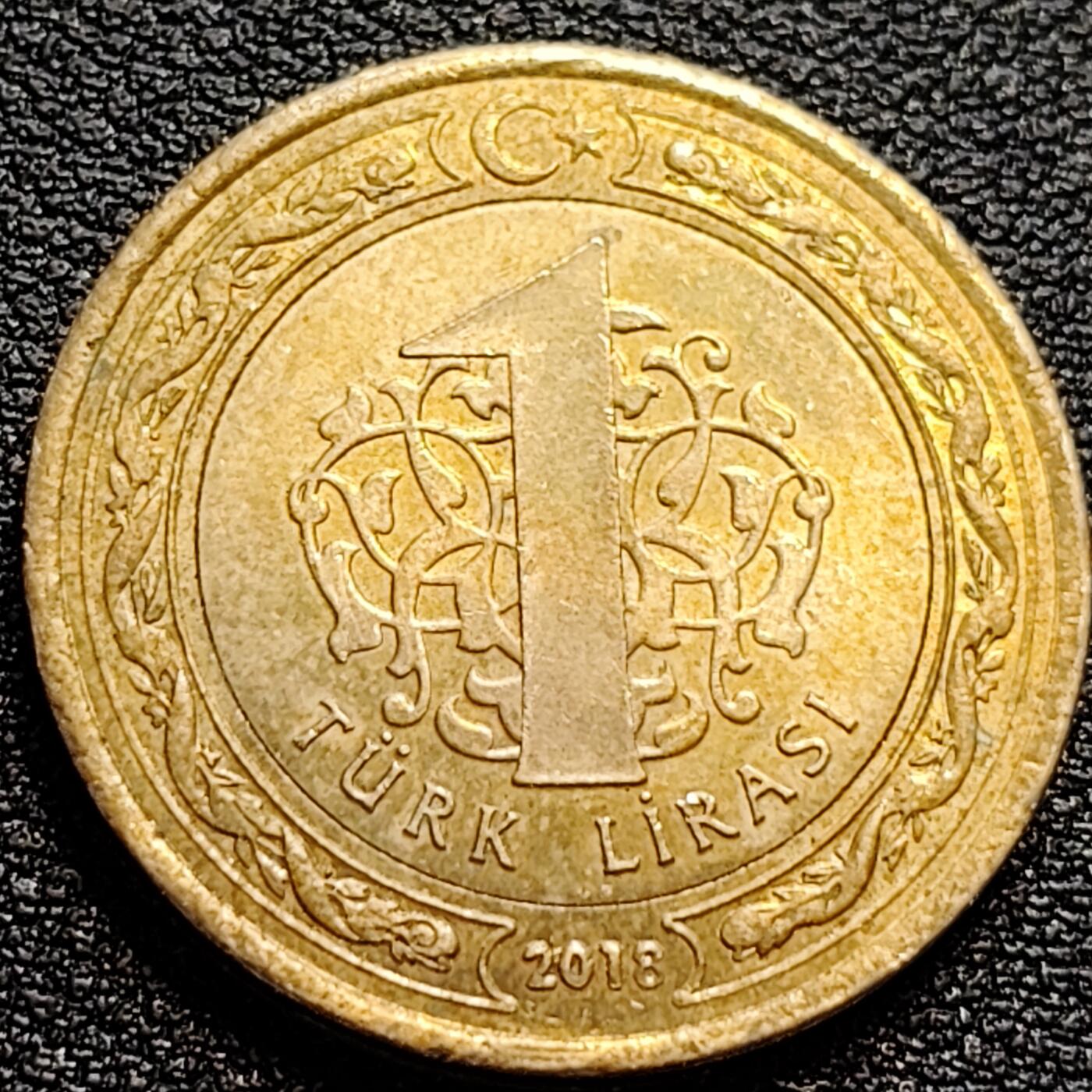 泉币菌-第77场-散币乐园场 土耳其1里拉双色币 凯末尔总统 26mm