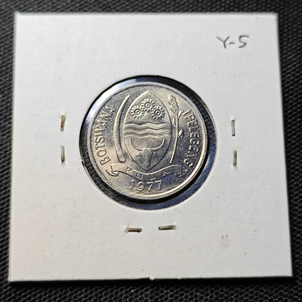 KK钱币收藏小铺 第318期 2月预留时间 周末发货