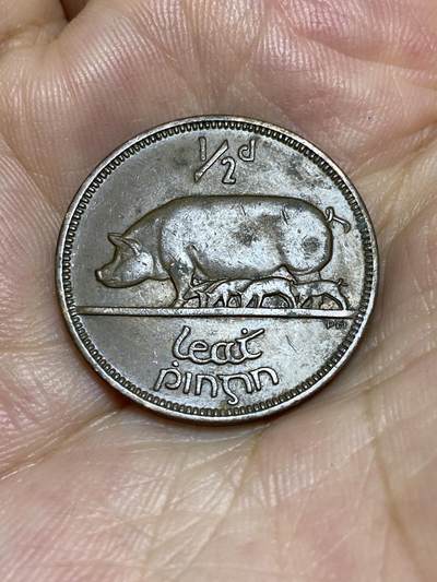 2025年第七十八场(总第一百零四场）外国好品散币(免佣金) - 爱尔兰🇮🇪1953年1/2便士(共和国时期第一套)