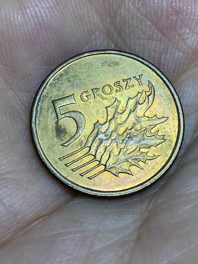 2025年第七十八场(总第一百零四场）外国好品散币(免佣金) - 波兰🇵🇱2008年5格罗希(新版第一版，黄铜材质无磁版)