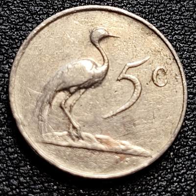 泉币菌-第77场-各国散币场 - 南非1965年5分 国徽 鹮鸟 镍 17.3mm 