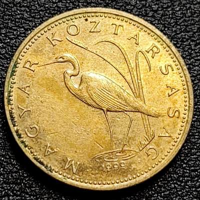 泉币菌-第77场-各国散币场 -  匈牙利5福林 白鹭 重4.2克 直径21.2毫米