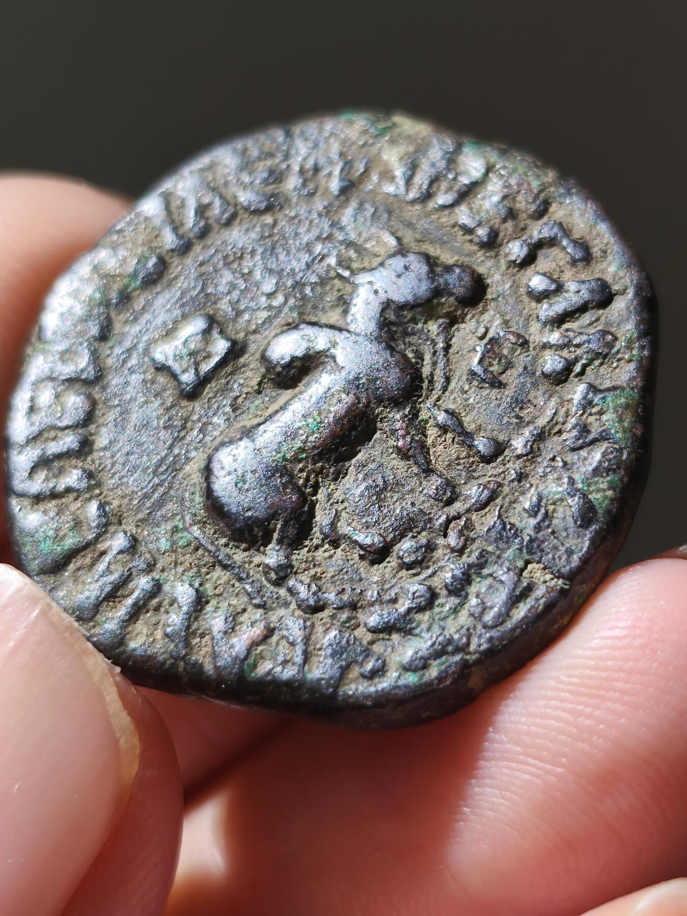 星盘世界钱币八月十六日古典币精品专场，本场全部老孙严选精品 印度斯基泰阿泽斯二世大铜币一枚，正面是狮子面向右，背上有厂标，背面是瘤牛，品相非常不错，铭文也清晰，面值为四查科，黑漆古包浆十五十六克左右，塔克西拉铸造