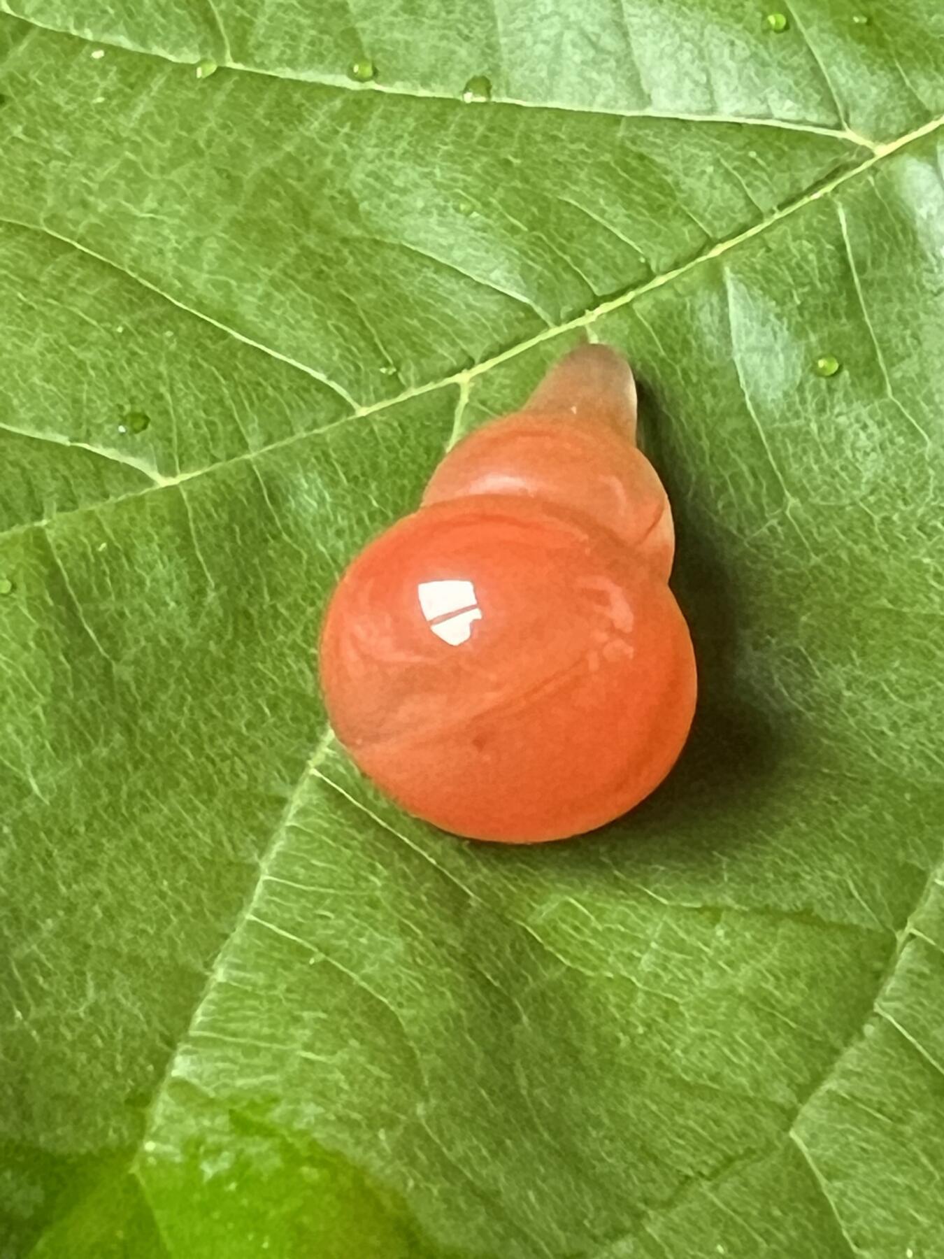 零元拍：南红玛瑙葫芦，纯手工，冰飘满朱砂，尺寸约：大肚 13，小肚 9，高 23，因为拍照环境以及光线的变化，颜色以实物为准。