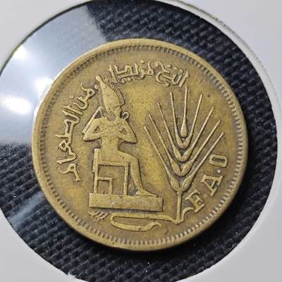 KK钱币收藏小铺 第319期 2月预留时间 周末发货 -  埃及10米利姆纪念币