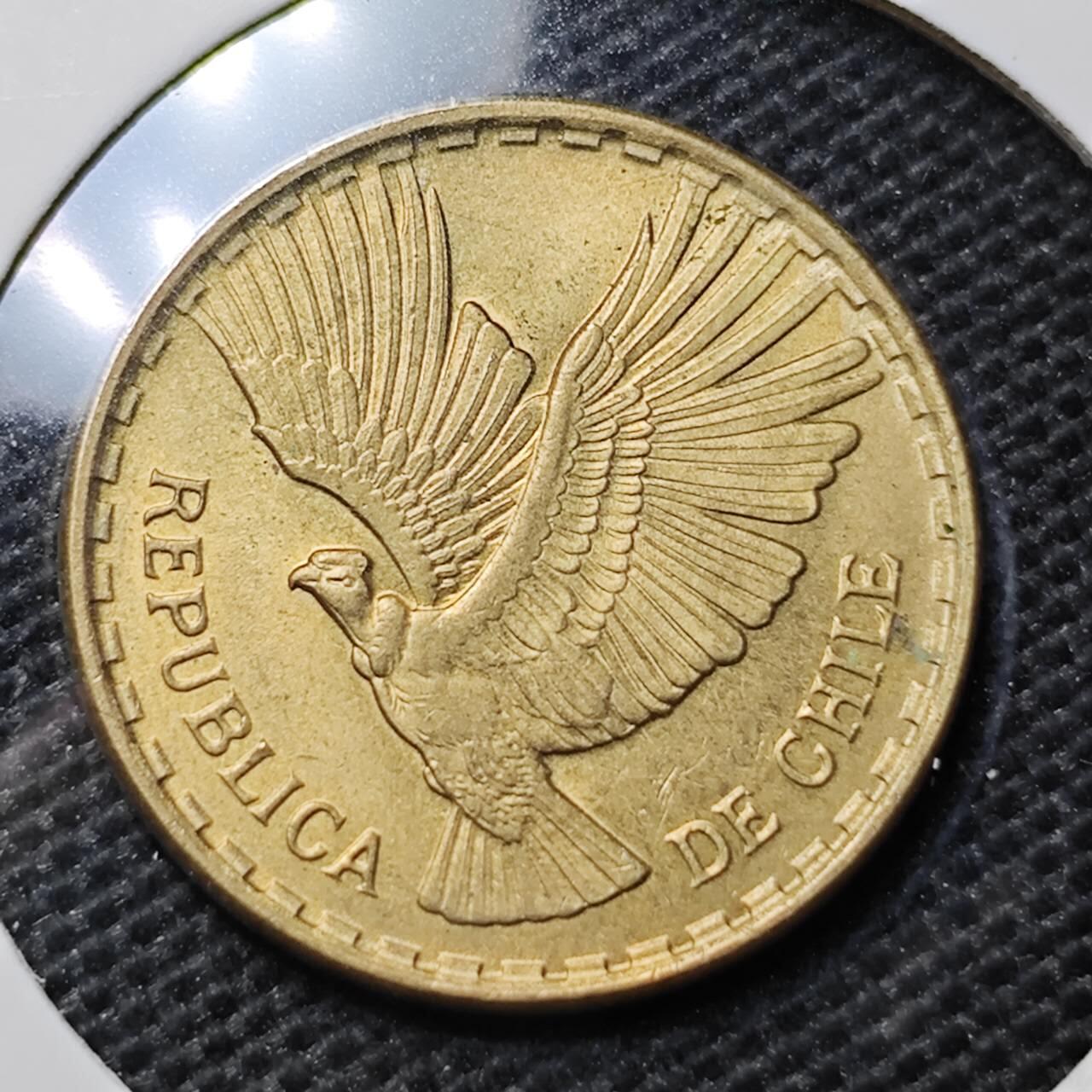 KK钱币收藏小铺 第318期 2月预留时间 周末发货 1970 智利2分铜币 好品 飞鹰