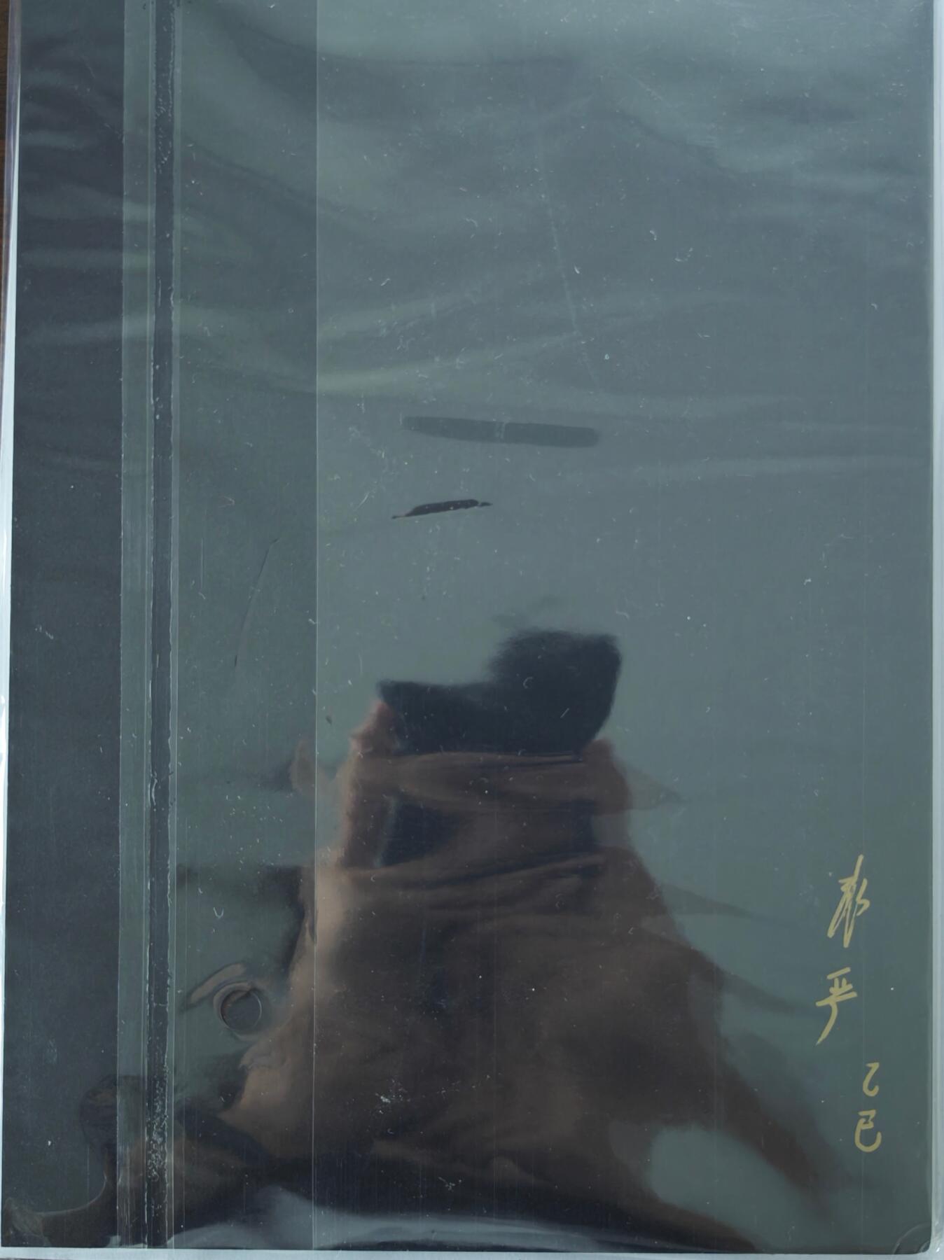 白泽拍卖卡牌手绘专场第22期中福卡展专场(离离暑云散，袅袅凉风起)