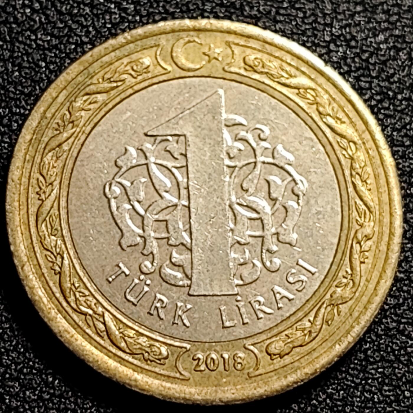 泉币菌-第80场-散币乐园场 土耳其1里拉双色币 凯末尔总统 26mm