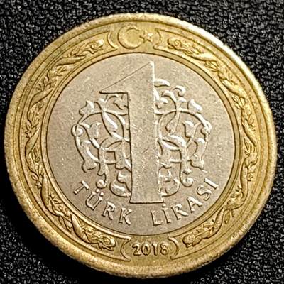 泉币菌-第80场-散币乐园场 - 土耳其1里拉双色币 凯末尔总统 26mm