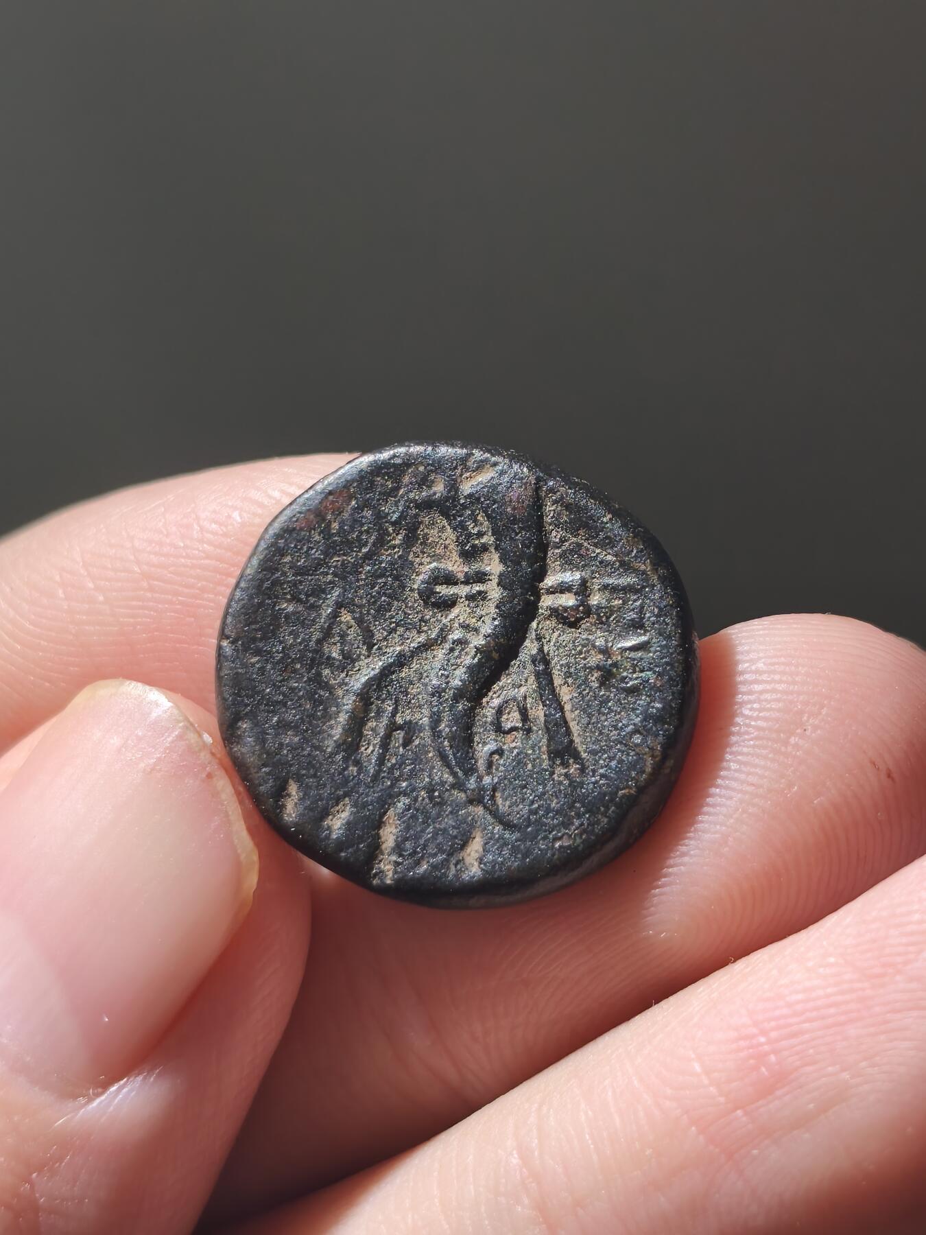 星盘世界钱币八月十六日古典币精品专场，本场全部老孙严选精品