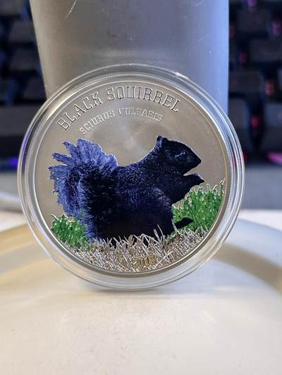 第170期拍卖【长期征集拍品】 - 库克2013年珍稀动物黑松鼠彩色精制银币，925银，20克，发行999枚