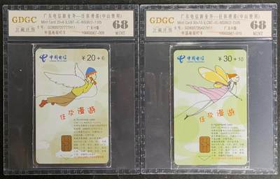 公藏第119期评级卡拍卖 - 电信IC卡（IC-NS06(05)   广东电信新业务-中山使用）2全广东版，公藏原封套封装68分。
