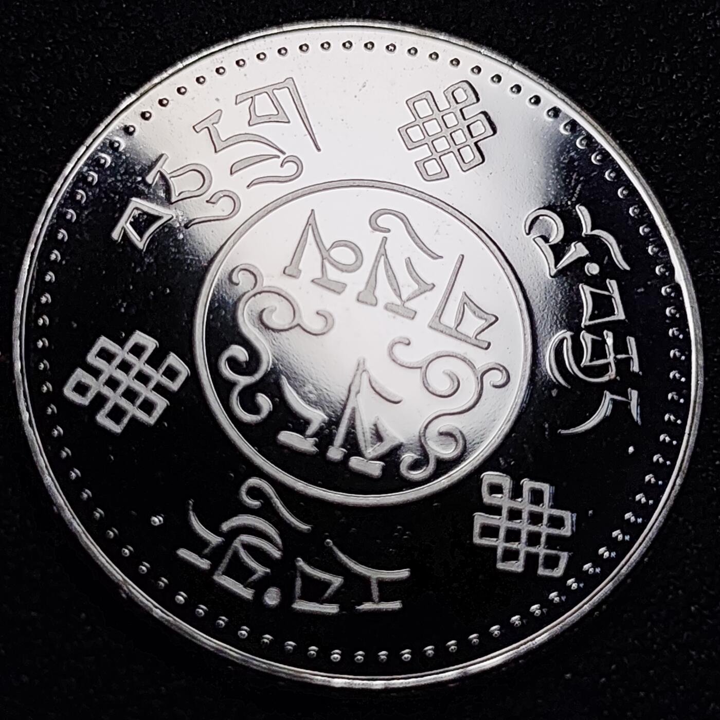 泉币菌-第80场-散币乐园场 纪念章 麒麟 西藏？尼泊尔？不懂 30×2mm 纪念品
