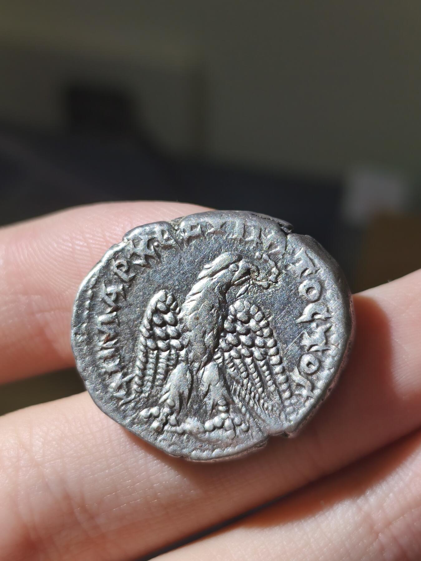 星盘世界钱币八月十六日古典币精品专场，本场全部老孙严选精品 极品！浮雕精美！古罗马卡拉卡拉东方地区4德拉克马银币 人物和鹰非常漂亮，这一枚底板非常细腻，光度不错，人物浮雕感强，头发胡须清晰可见，背面很难得的老鹰没有一丁点的弱打，羽毛的刻画清晰可见