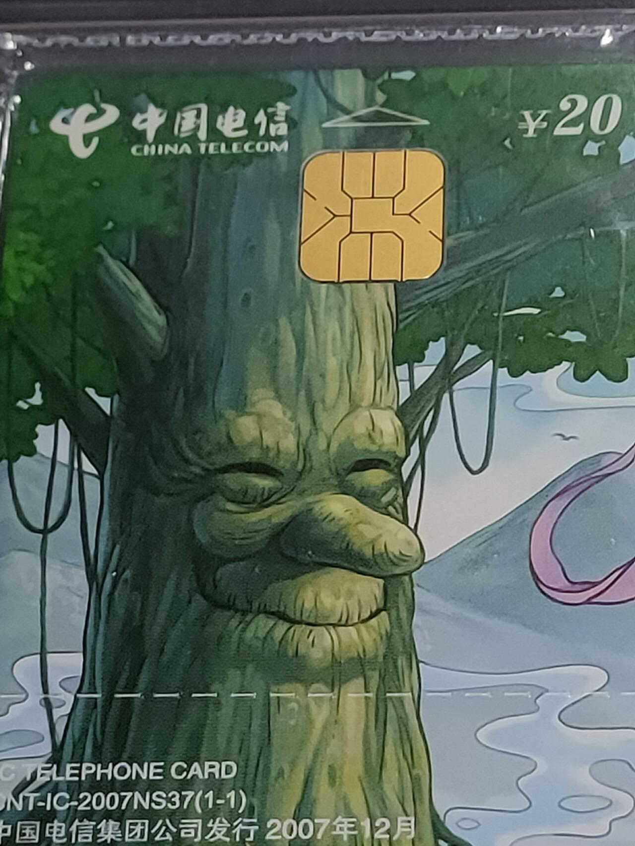 公藏第119期评级卡拍卖