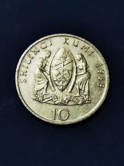 1988年坦桑尼亚10先令 - 1988年坦桑尼亚10先令