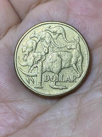 2025年第七十八场(总第一百零四场）外国好品散币(免佣金) - 澳大利亚🇦🇺1995年1元(伊丽莎白二世中年高冠)