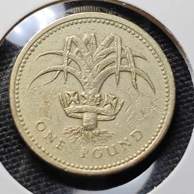 KK钱币收藏小铺 第319期 2月预留时间 周末发货 -  英国1镑
